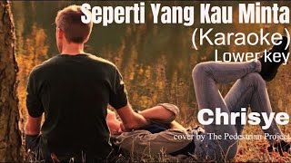 Seperti Yang Kau Minta  Chrisye Karaoke Lower Key [upl. by Sawyere203]