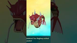 Shiny Feesh into Gyarados Evolution One of the OG shinies Please Subscribe shorts [upl. by Romeon]