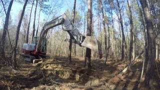 Takeuchi TB285 Excavator taking down pine tree [upl. by Mercedes]