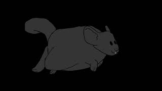 Chinchilla Jump Cycle Animation [upl. by Moonier60]