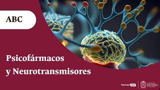 Neurotransmisores y psicofármacos ¿cómo se equilibra la química de los trastornos psicológicos [upl. by Ateloj771]