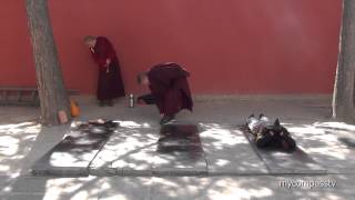 Tibetan Buddhist Prostration  Wǔtái China [upl. by Saundra150]