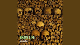 Brave Life [upl. by Oicram]