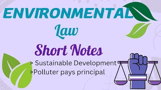 Sustainable development  Polluter pays principal  Environmental Law [upl. by Halihs595]