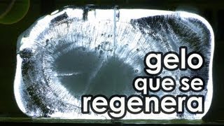 O gelo que se regenera EXPERIÊNCIA [upl. by Kora]