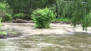 Hochwasser  Oker [upl. by Eilema561]