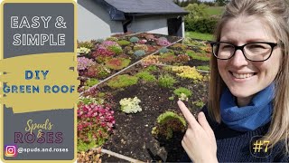 Easy and Simple DIY Green Roof with Flowering Alpine Plants and Sedums [upl. by Ahsiri975]