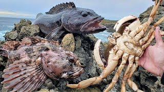 Eating MASSIVE CRAB and WORMY PARASITIC FISH Catch and Cook [upl. by Emeline]