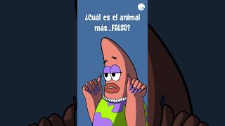 ¿Cuál es el animal más FALSO [upl. by Biddie]