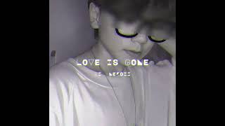 SLANDER  Love Is Gone ft Dylan Matthew  Acoustic  XI Nekoii  Visualizer [upl. by Ydissac]