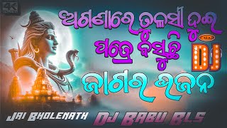 Aganare Tulasi Dui Patre Basuchi Dj Song  Odia Bhajan Dj Song  Dj Babu Bls [upl. by Atinehs162]