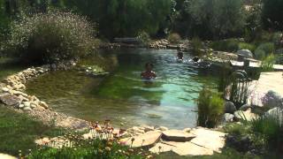 Piscine naturelle Aquaverde [upl. by Marieann]