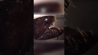 Deep Sea Dragonfish😲😲 facts knowlegeispower subscribe FactsSpoonFed [upl. by Nairrod]