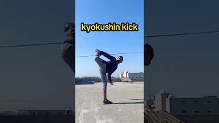 kyokushin kick 💯 tutorial 💯MartialArts KarateTraining KarateLife Shotokan Kyokushin [upl. by Atirehs]