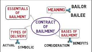 Contract of Bailment Law of Contracts common law system [upl. by Toni]