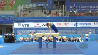 TOMMASONE Cyril FRA – 2014 Artistic Worlds Nanning CHN – Qualifications Pommel Horse [upl. by Latoya59]