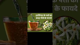 Harsingar ke patto ka kadha pine ke aneko fayedehealthyhomemade healthyfood harsingar shortsfeed [upl. by Reppart]