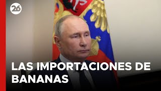 Llegó el castigo de Putin a Ecuador por quotapoyar a Ucraniaquot [upl. by Suoivatnod]