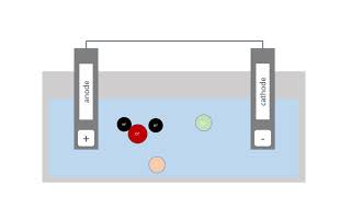 Electrolysis of Aqueous Solutions [upl. by Malda666]