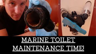 Jabsco YValve Servicing On A Lavac Marine Toilet  Gasket Replacements and Calcium Removal  Ep 44 [upl. by Adeuga825]