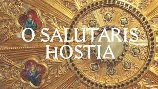 O Salutaris Hostia Mezzalira [upl. by Olenka]