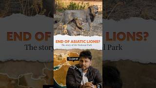 🤔Why Asiatic Lions 🦁live only in Gujarat 🤔 Gir National Park [upl. by Trahern769]