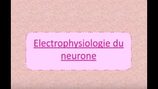 Lélectrophysiologie du neurone simple et facile [upl. by Harelda403]