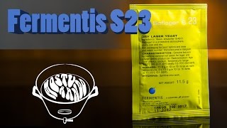 Fermentis S23 — Lager com cara de Ale [upl. by Gnen761]