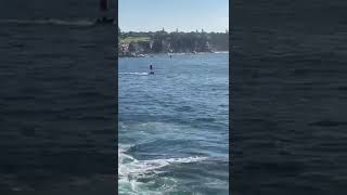 Coogee beachswim around the island back buoys will mark the course straight back to the beach [upl. by Bodkin]