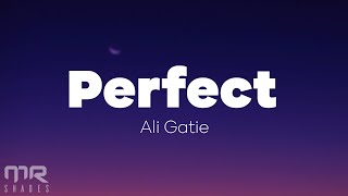 Ali Gatie  Perfect lyrics [upl. by Shreeves]