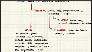 Biochimica Glicolisi pt2 e Fermentazione Lattica e Alcolica [upl. by Ynetsed614]