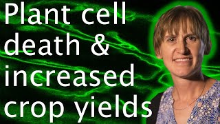 Plant cell autophagy cell death amp food security  Diane Bassham [upl. by Hasin]