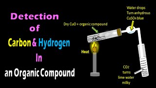 How are carbon and hydrogen detected in an organic compound  Experiment  Organic Chemistry [upl. by Etteloc]