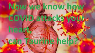 Now we know how COVID attacks your heart according to source can Taurine help [upl. by Itnaihc263]