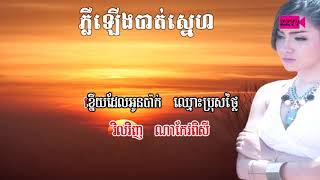 ភ្លឺឡើងបាត់ស្នេហ៌ ​ភ្លេងសុទ្ធ​​ ខារាអូខេ  Pler lerng bat sne Karaoke [upl. by Clarissa]