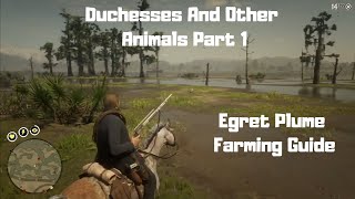 RDR2  Duchesses And Other Animals Part 1  Egret Plume Guide [upl. by Lipman762]