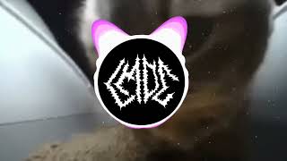 CHIPI CHIPI CHAPA CHAPA REMIX  Christell  Dubidubidu LMDC DUBSTEP REMIX Visualizer [upl. by Ghiselin179]