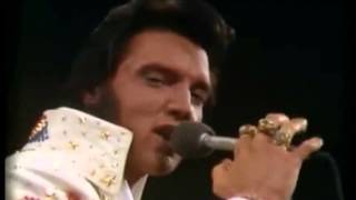 Elvis Presley Van Halen Mash up  Burning Love [upl. by Yun481]