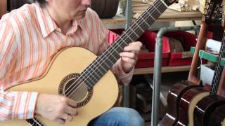 Hofner HM83 classical guitar demo [upl. by Iormina]