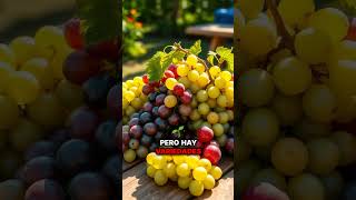 Descubre el Mundo de las Uvas Vino Uvas Gastronomía Sabores Cultura [upl. by Black259]