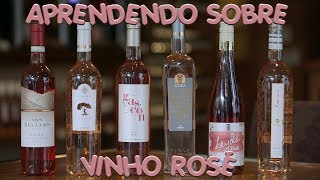 APRENDENDO SOBRE VINHO ROSÉ  Divino Vinho [upl. by Ardelle]