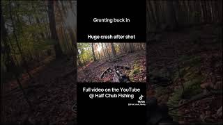 Volume Up whitetails deerhunting archery adventure bigwoods [upl. by Rednave]