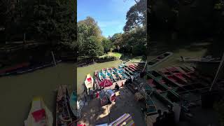 Oxford Punting from Magdalen Bridge [upl. by Vins]