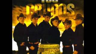 LOS CRUDOS DE DURANGO  SIN TU AMOR [upl. by Iene645]