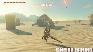 The Legend of Zelda Breath of the Wild  Arbiters Grounds Molduga 4K [upl. by Tisman]