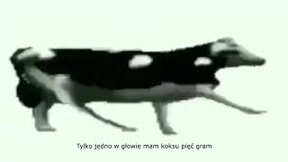 Polish cow dancing Lyrics [upl. by Obadiah]