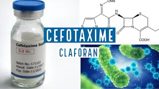 CEFOTAXIME  CLAFORAN  1g [upl. by Yuria]