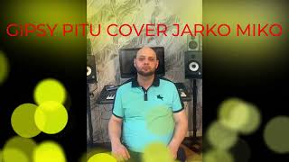 GIPSY PITU AVKEMA PALE COVER [upl. by Reeba]