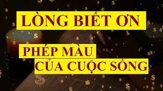 LÒNG BIẾT ƠN  PHÉP MÀU của cuộc sống  Sức mạnh tiềm thức [upl. by Vassili]