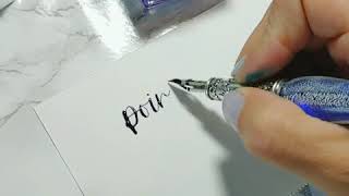 Daveliou Blue Calligraphy Pen Set Demo by Simply Alison [upl. by Rimidalv]